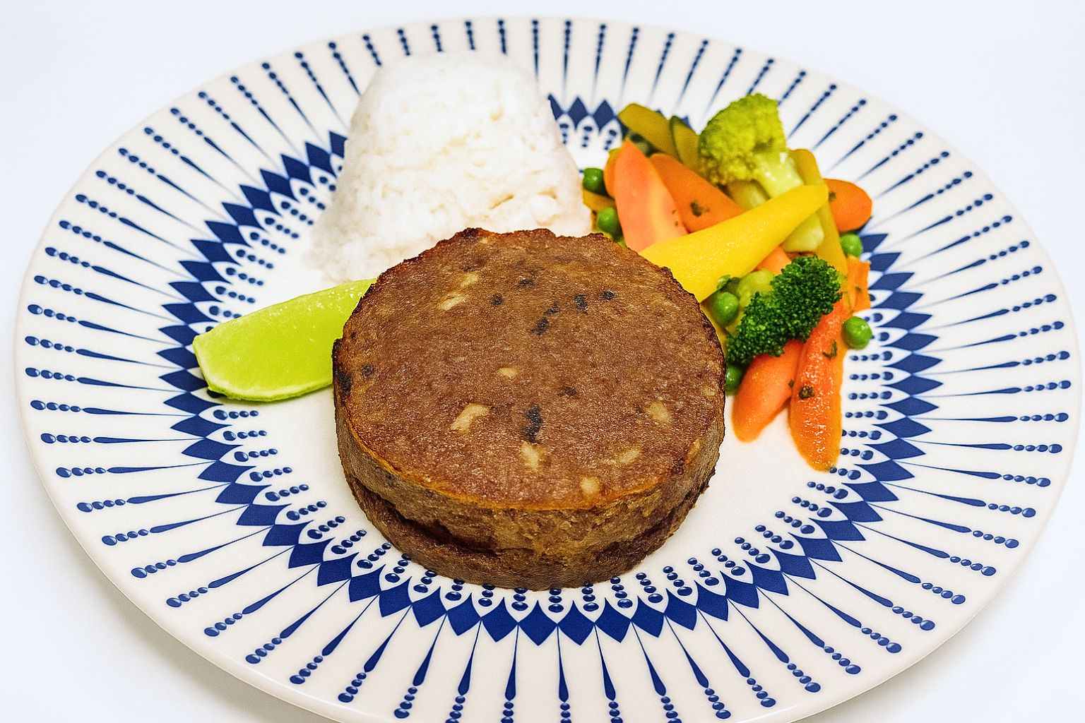 kibe-arroz-panache-compac (1)